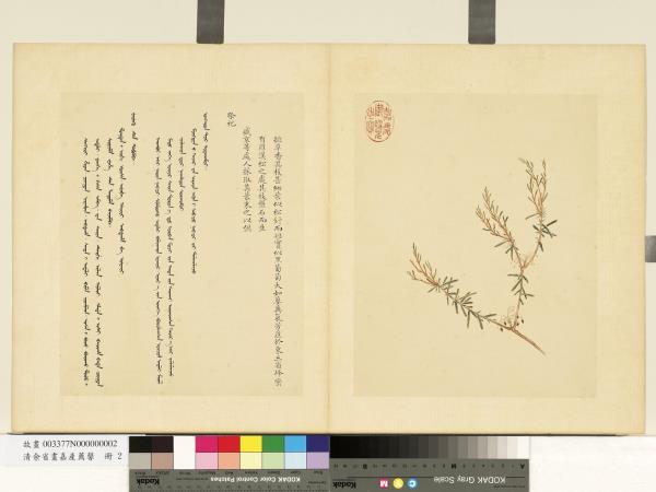 清余省畫嘉產薦馨　冊　排草香