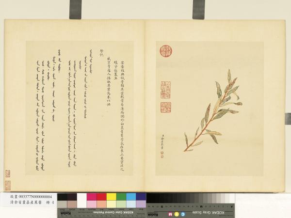 清余省畫嘉產薦馨　冊　芸香