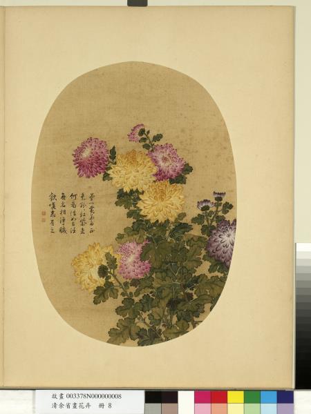 清余省畫花卉　冊　菊