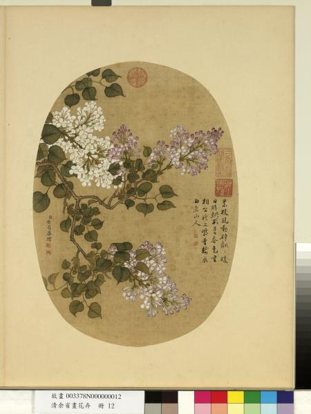 清余省畫花卉　冊　紫白丁香