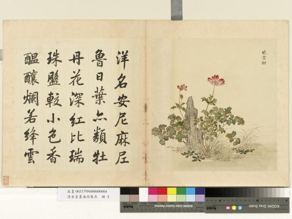 清余省畫海西集卉　冊　曉雲酣