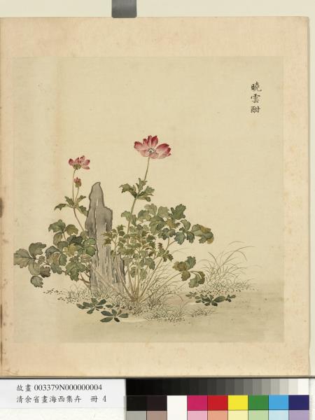 清余省畫海西集卉　冊　曉雲酣