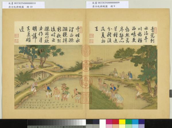 清冷枚耕織圖　冊　拔秧