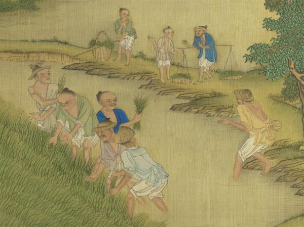 清冷枚耕織圖　冊　拔秧