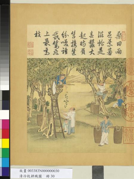 清冷枚耕織圖　冊　採桑