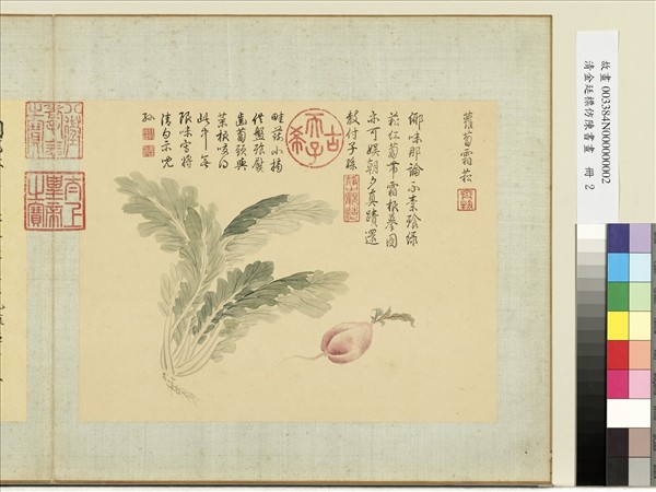 清金廷標仿陳書畫　冊　蘿蔔霜松