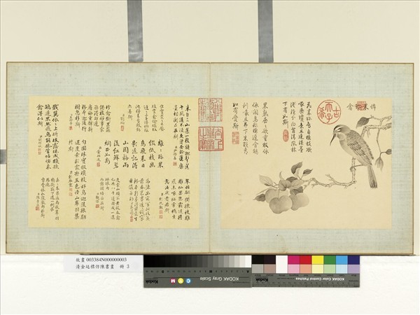 清金廷標仿陳書畫　冊　仙果珍禽