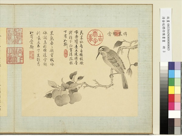 清金廷標仿陳書畫　冊　仙果珍禽