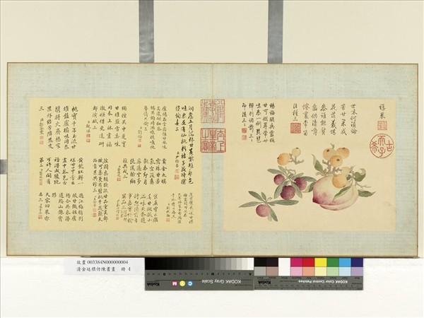 清金廷標仿陳書畫　冊　襍果