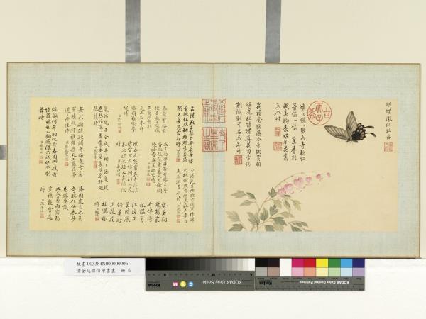 清金廷標仿陳書畫　冊　蝴蝶鳳仙牡丹
