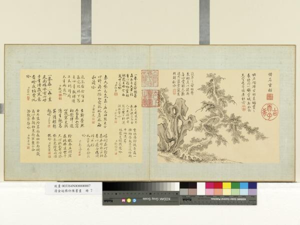 清金廷標仿陳書畫　冊　怪石古柏