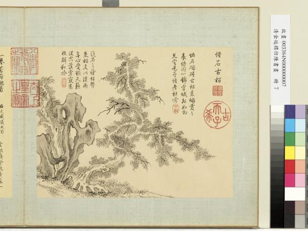 清金廷標仿陳書畫　冊　怪石古柏