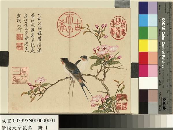 清楊大章花鳥　冊　海棠燕子