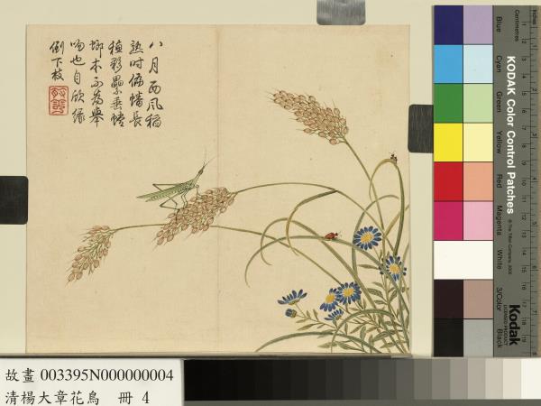 清楊大章花鳥　冊　稻穗螳螂