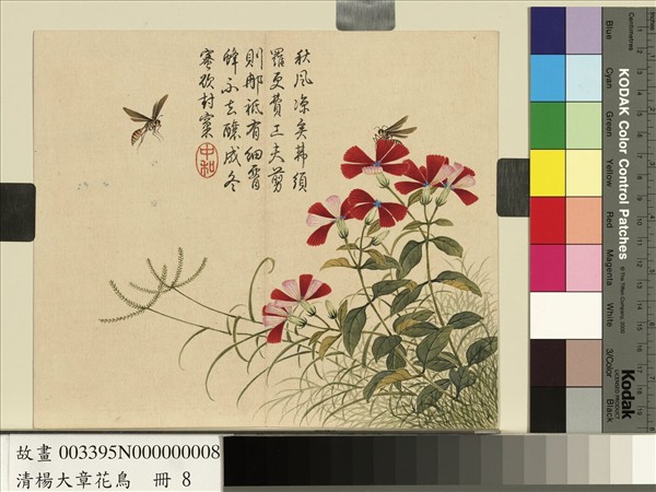 清楊大章花鳥　冊　剪秋羅蜜蜂