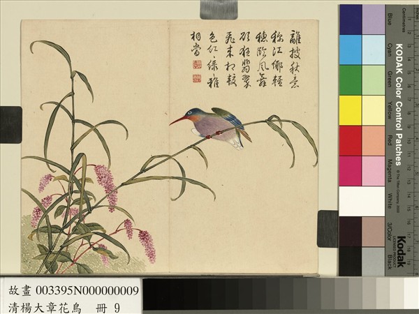 清楊大章花鳥　冊　蓼花翠鳥