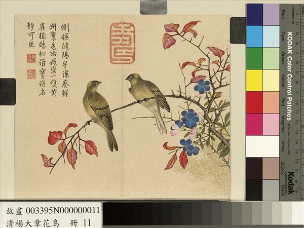 清楊大章花鳥　冊　翠梅黃雀