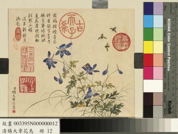 清楊大章花鳥　冊　藍雀花蜜蜂