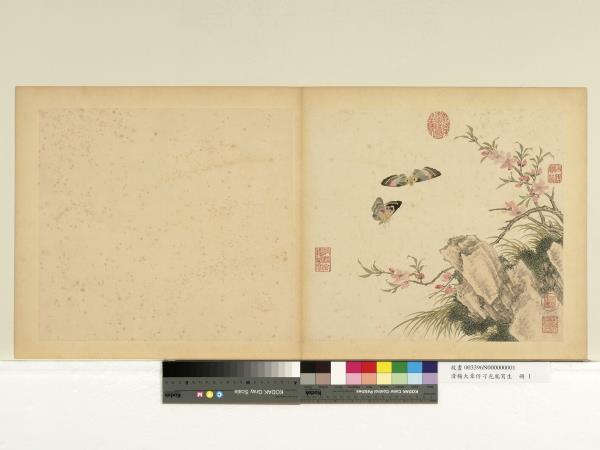 清楊大章仿刁光胤寫生　冊　桃花雙蝶