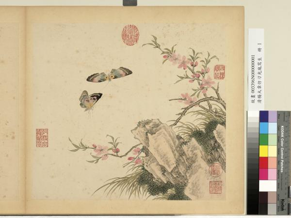 清楊大章仿刁光胤寫生　冊　桃花雙蝶