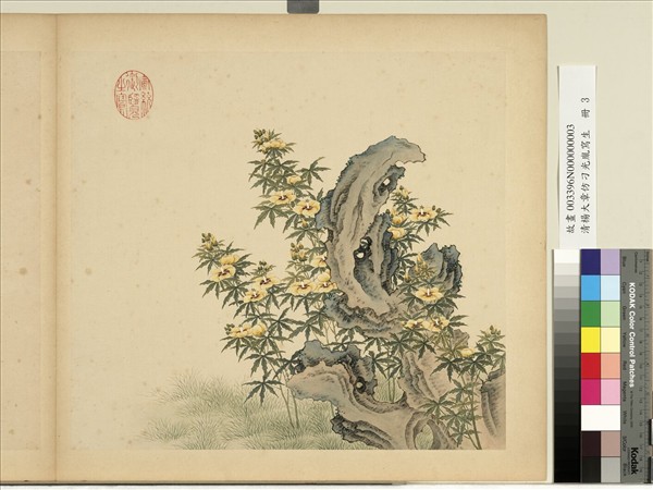 清楊大章仿刁光胤寫生　冊　秋葵奇石