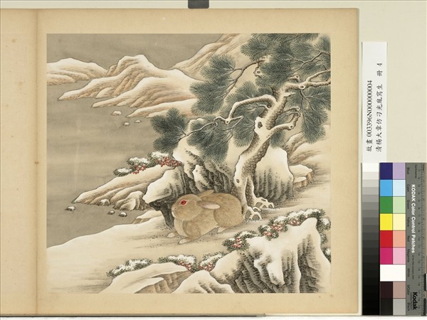 清楊大章仿刁光胤寫生　冊　喬松臥兔