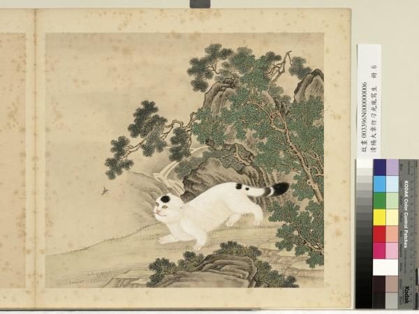 清楊大章仿刁光胤寫生　冊　柏木山貓