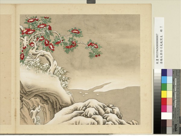 清楊大章仿刁光胤寫生　冊　茶花竹子