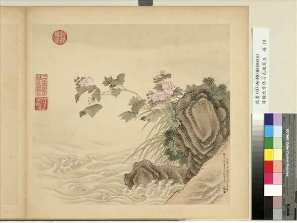 清楊大章仿刁光胤寫生　冊　芙蓉石岸