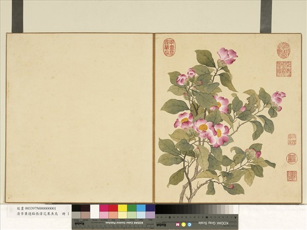 清李秉德臨張偉花果魚鳥　冊　山茶