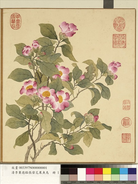 清李秉德臨張偉花果魚鳥　冊　山茶