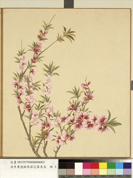 清李秉德臨張偉花果魚鳥　冊　桃花