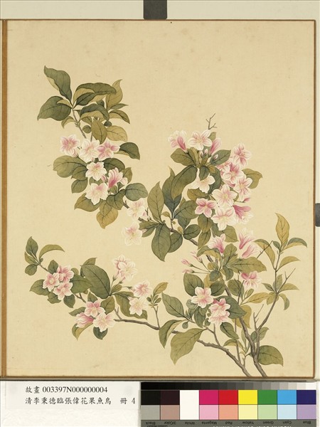 清李秉德臨張偉花果魚鳥　冊　海棠