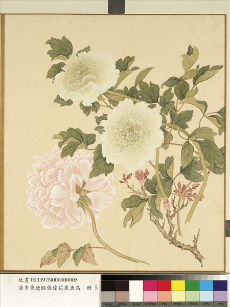 清李秉德臨張偉花果魚鳥　冊　牡丹