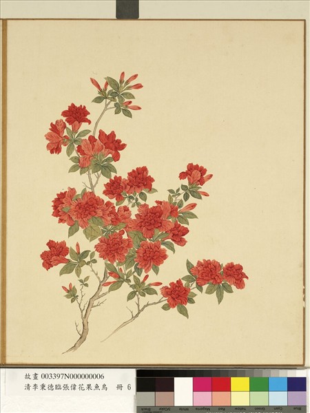 清李秉德臨張偉花果魚鳥　冊　榴花