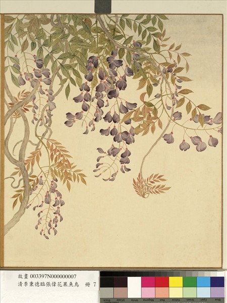 清李秉德臨張偉花果魚鳥　冊　藤花