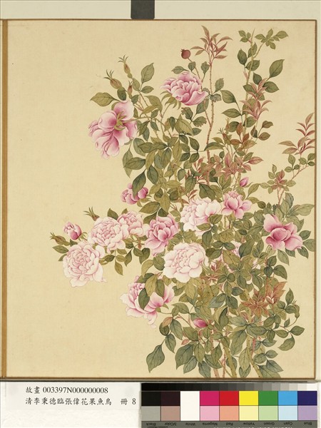 清李秉德臨張偉花果魚鳥　冊　月季