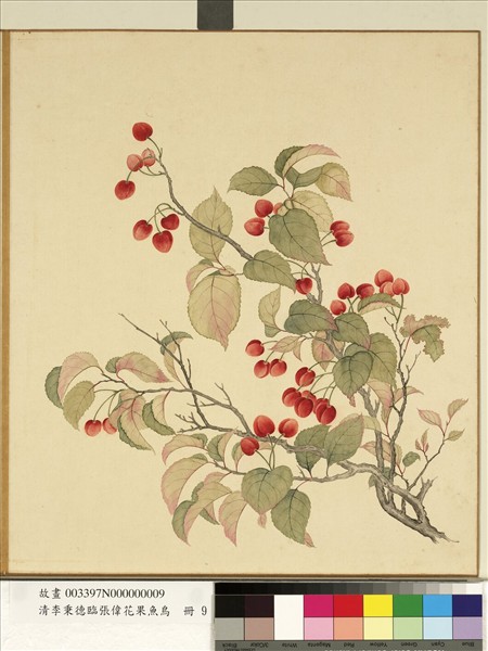 清李秉德臨張偉花果魚鳥　冊　櫻桃