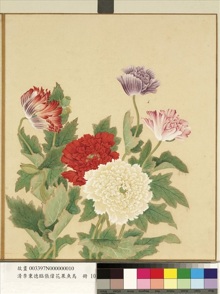 清李秉德臨張偉花果魚鳥　冊　罌粟