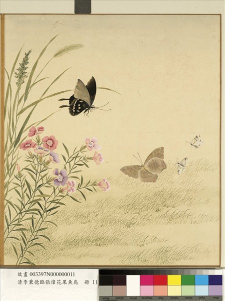清李秉德臨張偉花果魚鳥　冊　石竹蛺蝶