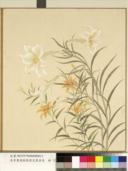 清李秉德臨張偉花果魚鳥　冊　萱花百合