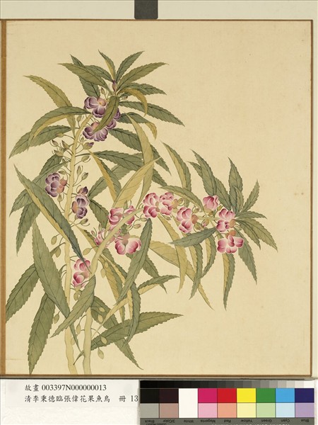 清李秉德臨張偉花果魚鳥　冊　鳳仙