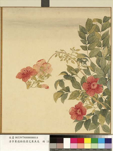 清李秉德臨張偉花果魚鳥　冊　凌霄