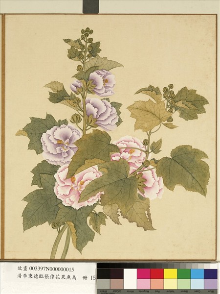 清李秉德臨張偉花果魚鳥　冊　蜀葵