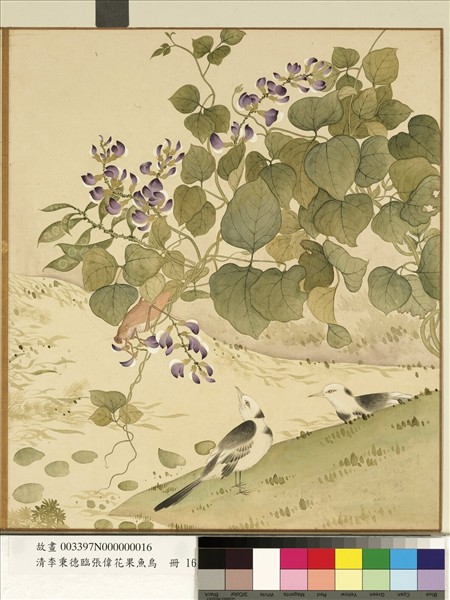 清李秉德臨張偉花果魚鳥　冊　豆花鶺鴒