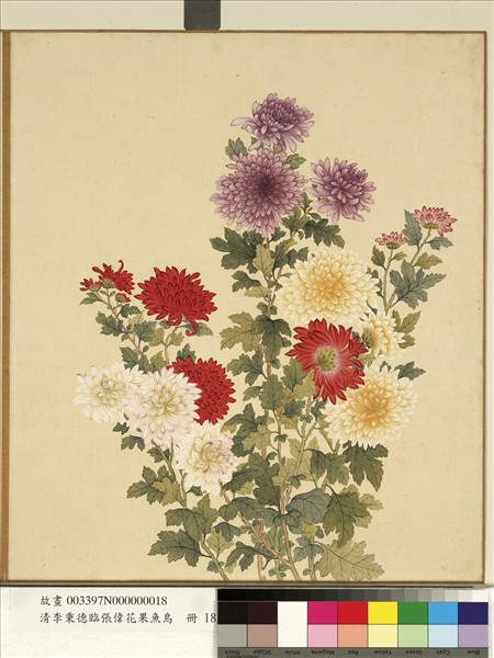 清李秉德臨張偉花果魚鳥　冊　菊花