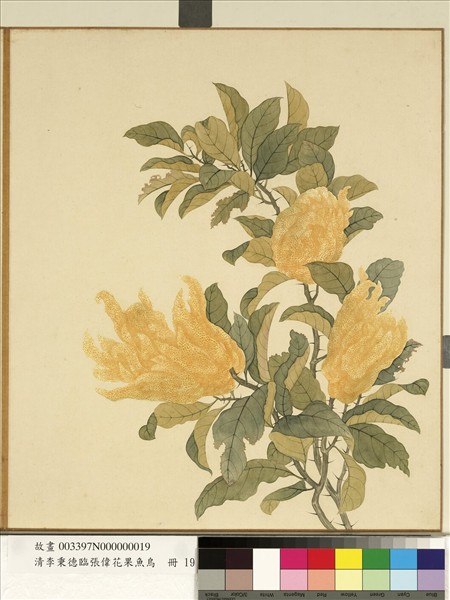 清李秉德臨張偉花果魚鳥　冊　佛手柑