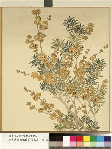 清李秉德臨張偉花果魚鳥　冊　臘梅