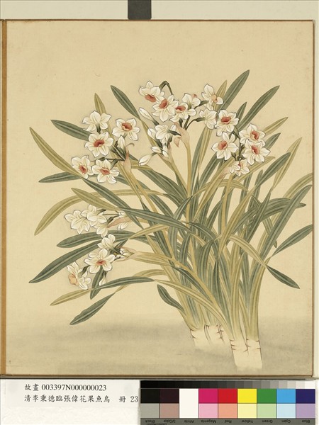 清李秉德臨張偉花果魚鳥　冊　水仙