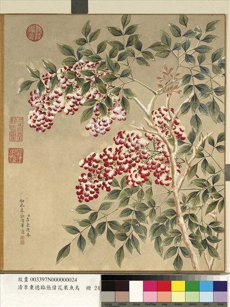 清李秉德臨張偉花果魚鳥　冊　天竺子